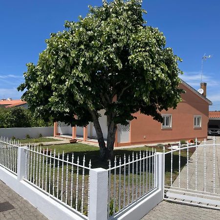 Moradia Alegre No Centro Da Vila Da Tocha. Екстер'єр фото