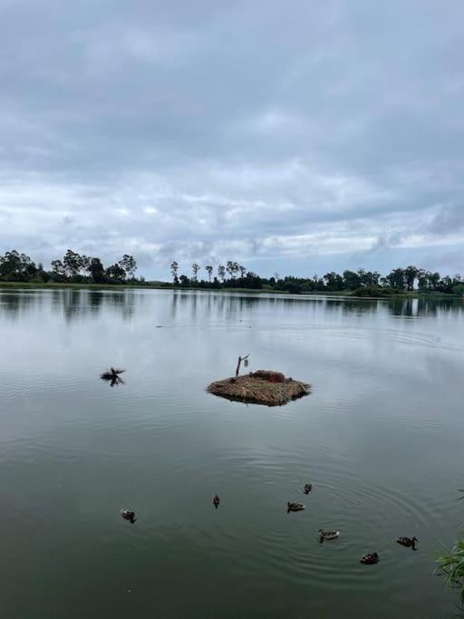 Moradia Alegre No Centro Da Vila Da Tocha. Екстер'єр фото