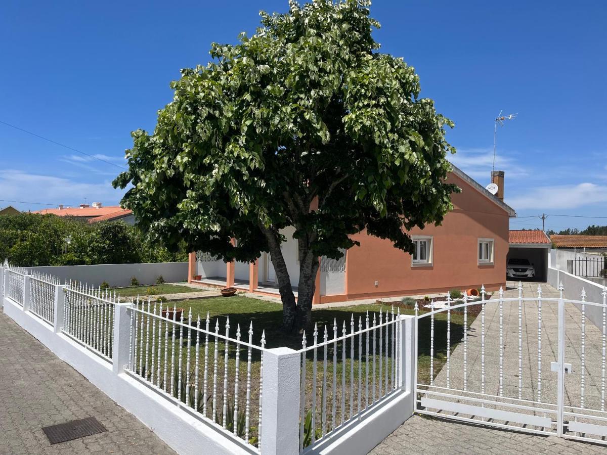 Moradia Alegre No Centro Da Vila Da Tocha. Екстер'єр фото